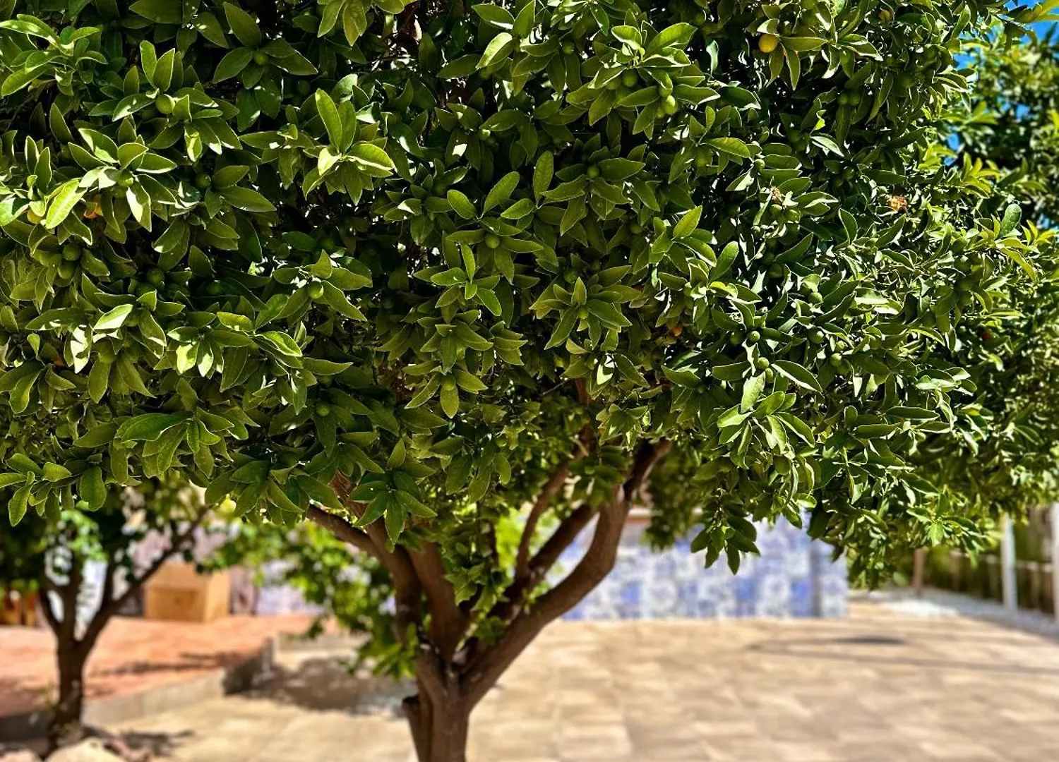 Apartamento Libelle Granada