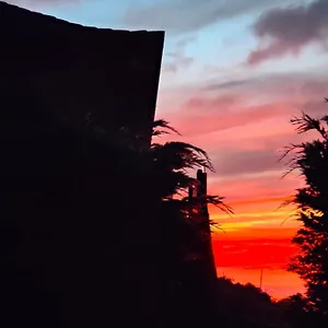 Quinta Naranjos , Tigalate España