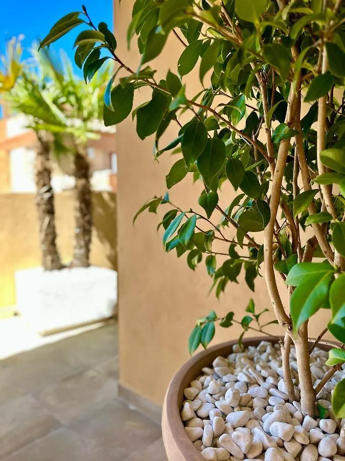 Libelle Apartment Granada